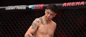 Brandon Moreno (UFC)